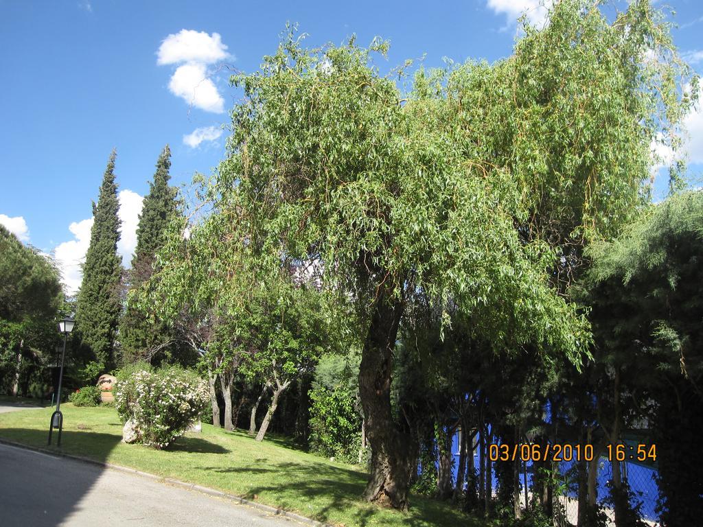 Hotel Rural Spa & Wellness Hacienda Los Robles Navacerrada Zewnętrze zdjęcie